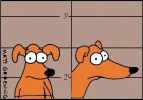 explicados