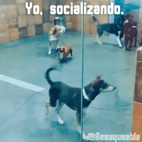 buenas