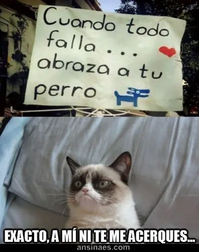 taringa