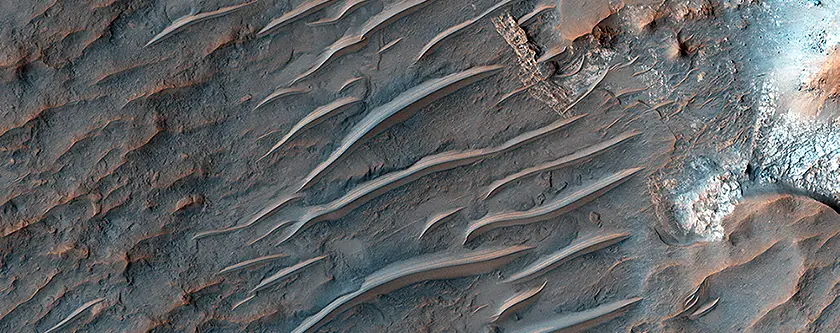 Impresionates imagenes de las Dunas de Marte