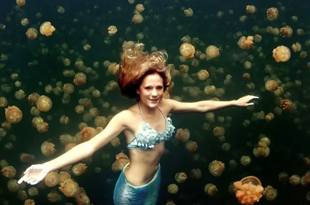 Conoce la mejor sirena profesional del mundo Linden Wolbert! Conoce la mejor sirena profesional del mundo Linden Wolbert!