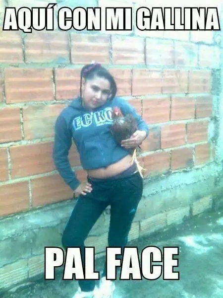 para la masturbanda
