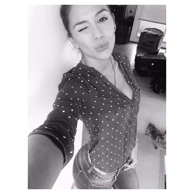 cantante cantante