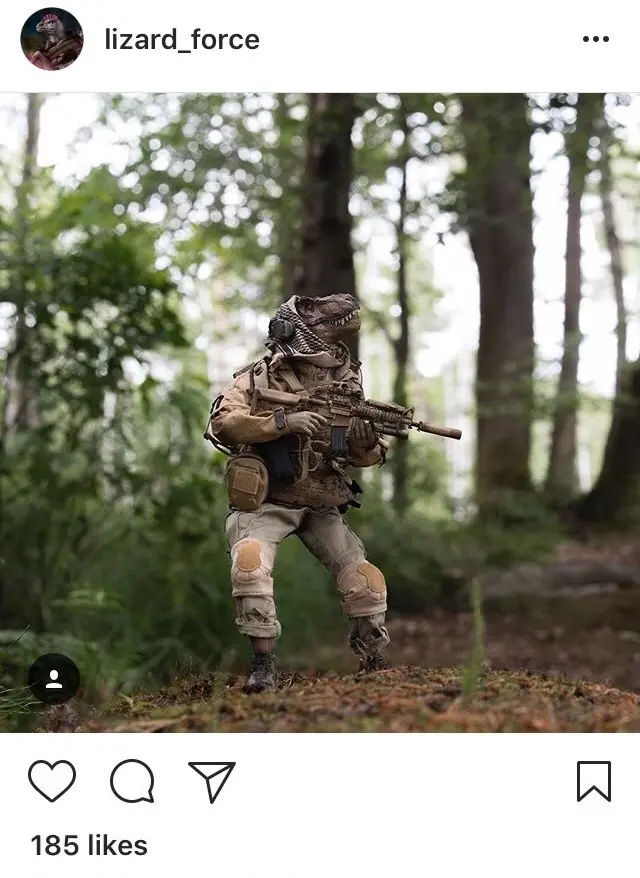 Ejercito charrua