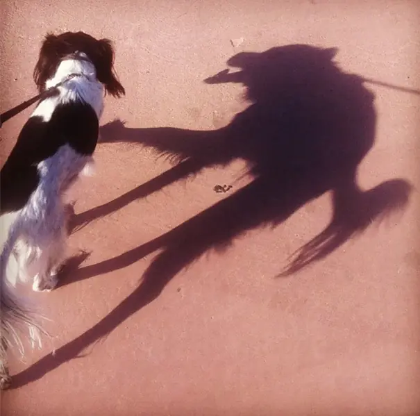 sombras