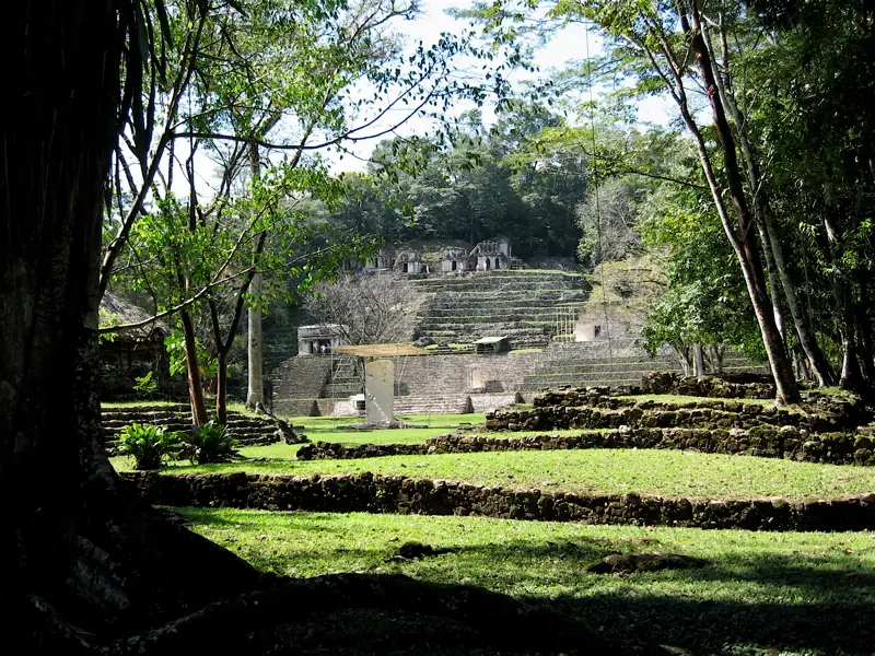 lacandona