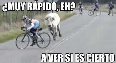 graciosas