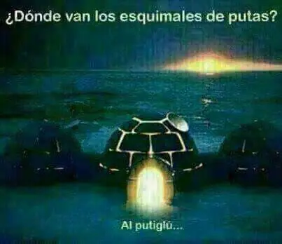feliz