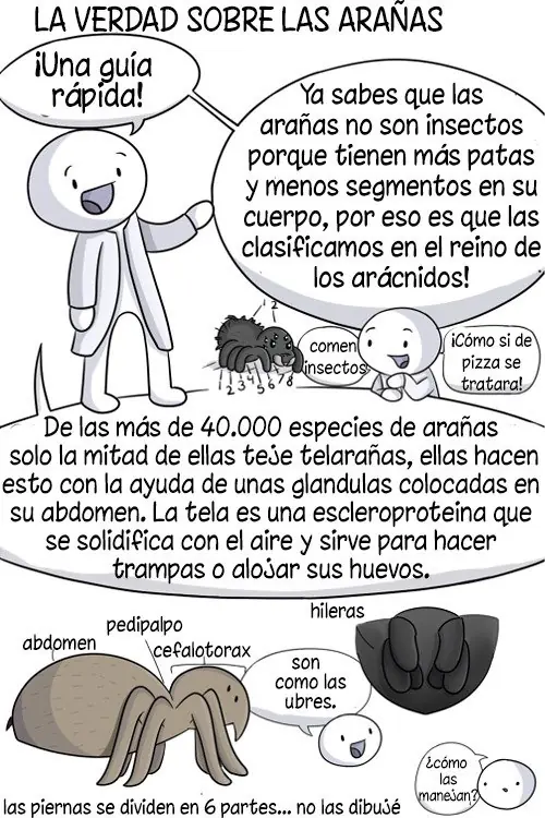 imagenes divertidas