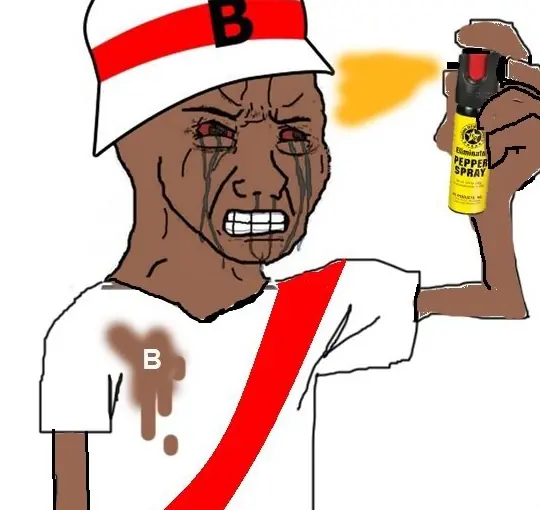 llora riber