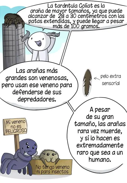 entra y reite