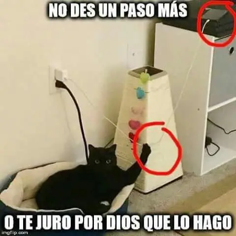 humor