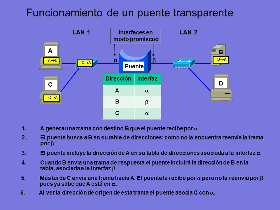fisica