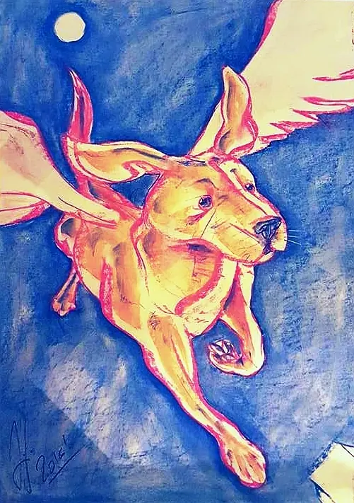 Dibujos psicodélicos! Pase y vea!