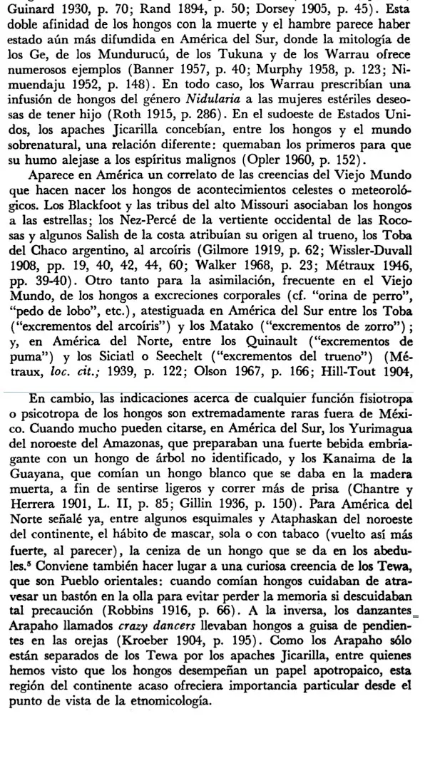 cultura mexicana