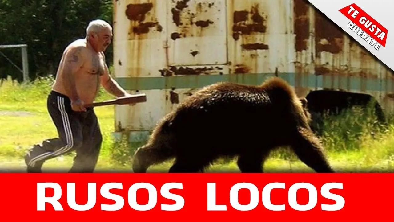 Locos Locos