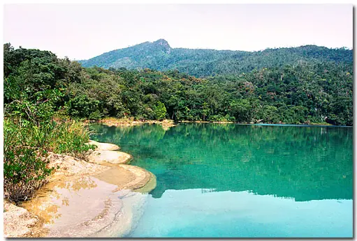 La Selva Lacandona:Orgullo Mexicano