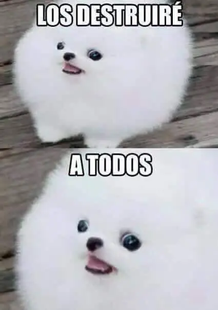 humor