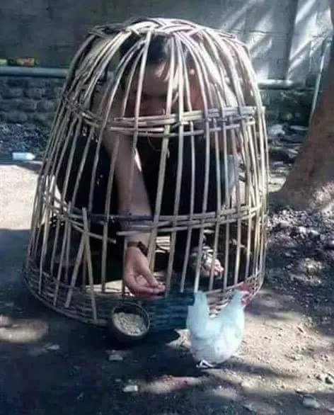 La parte extraña del internet #30