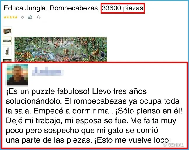 13 Comentarios invaluables de Internet
