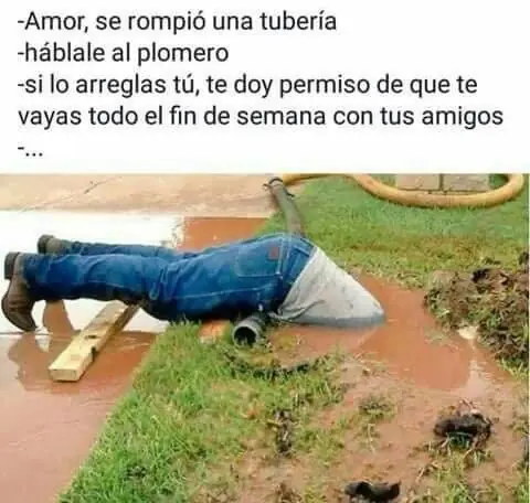 humor