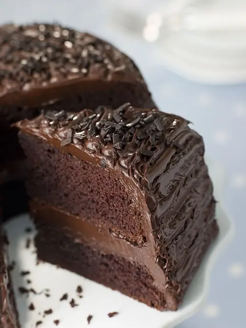 Te gusta este pastel de chocolate fudge?
