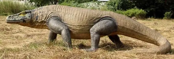 Los 10 animales prehistoricos mas aterradores