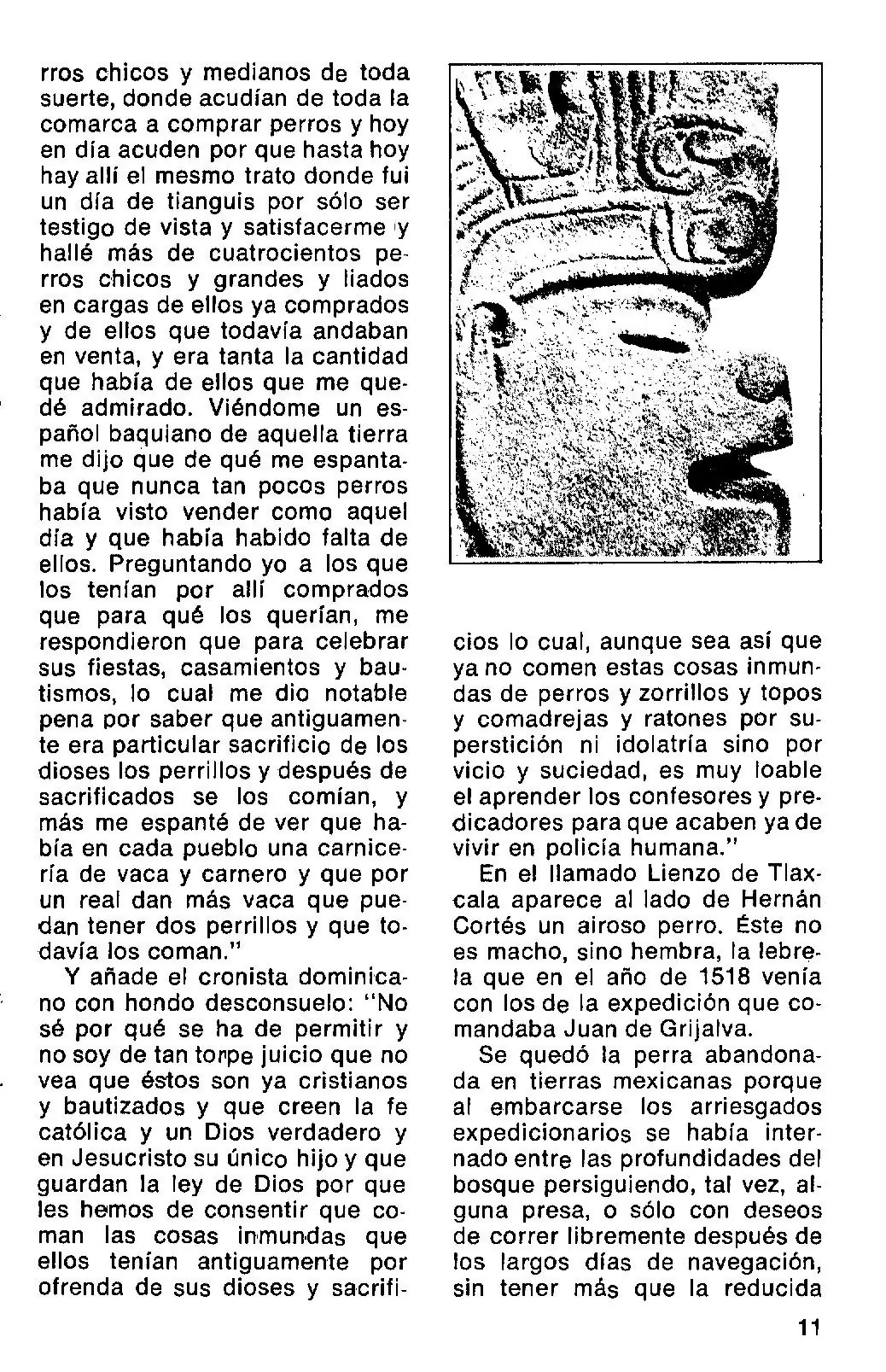 colibries