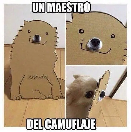 imagenes