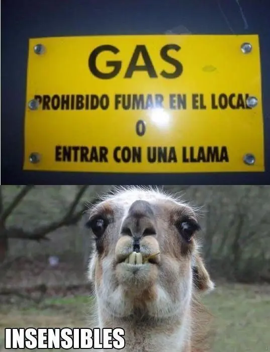 diversion