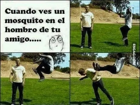 chiste