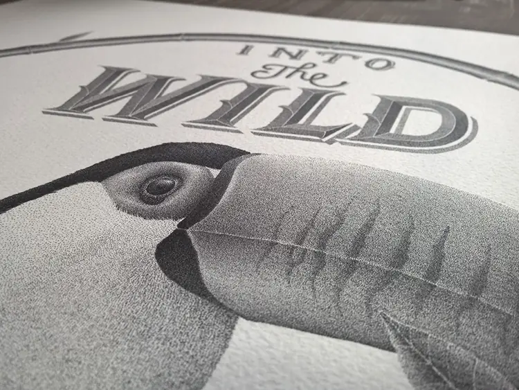 dibujo dibujo