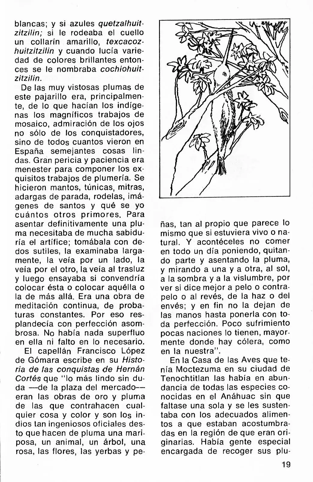 literatura arcaizante