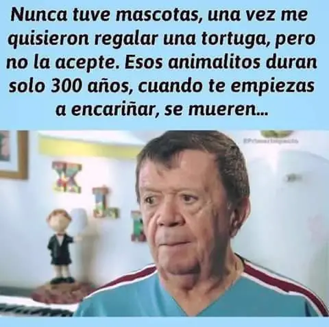 memes