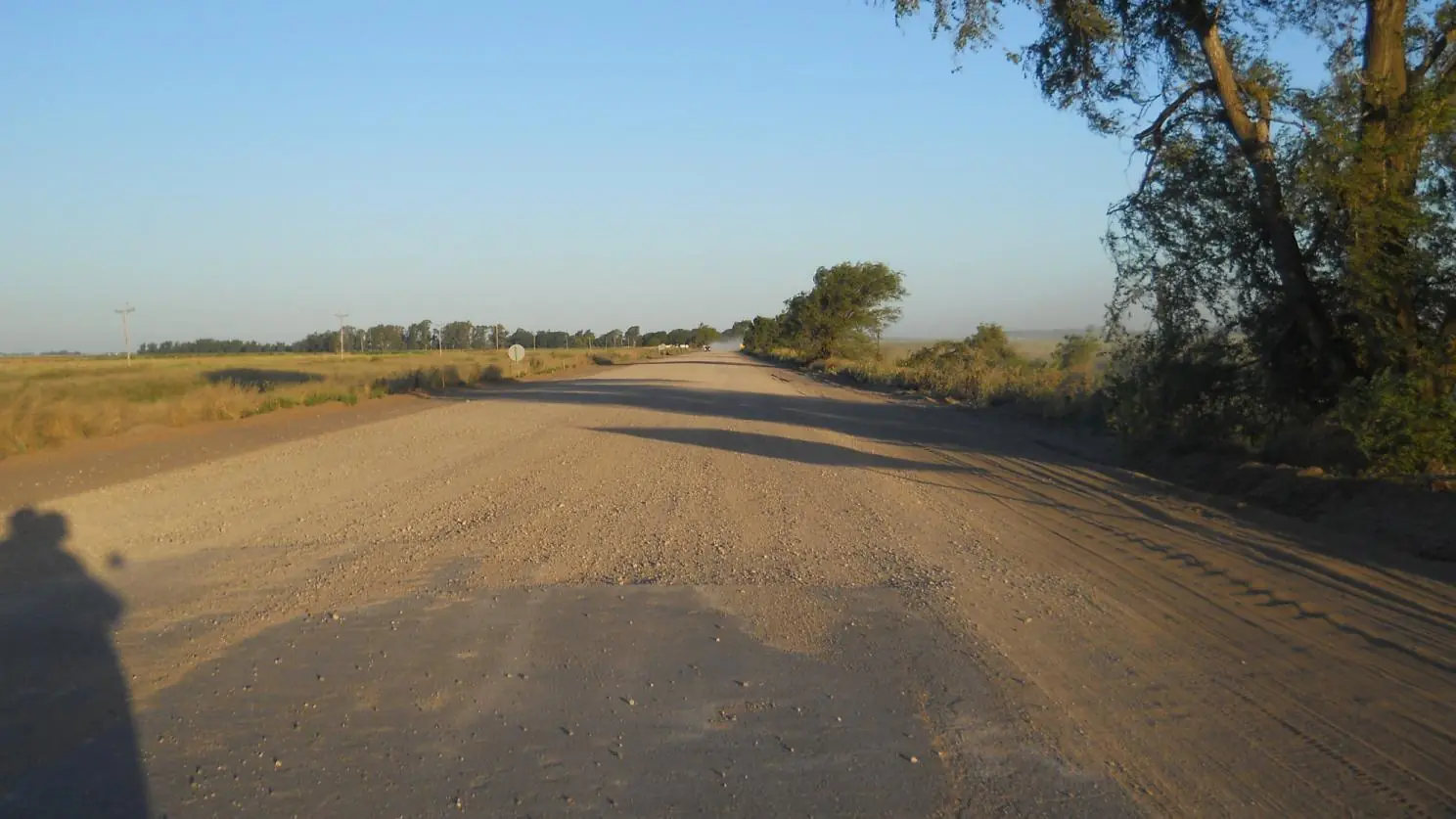 Ruta Ruta