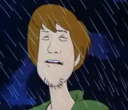 Shaggy, yo te re banco papa