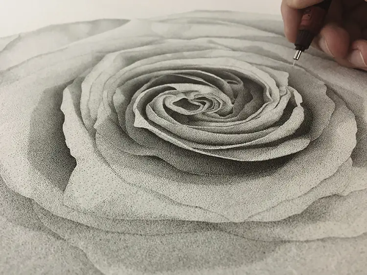 ilustracion ilustracion