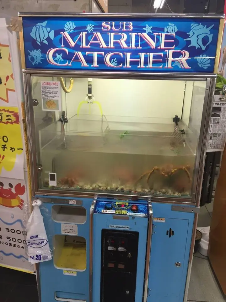 Imágenes de humor nocturno Parte- 94