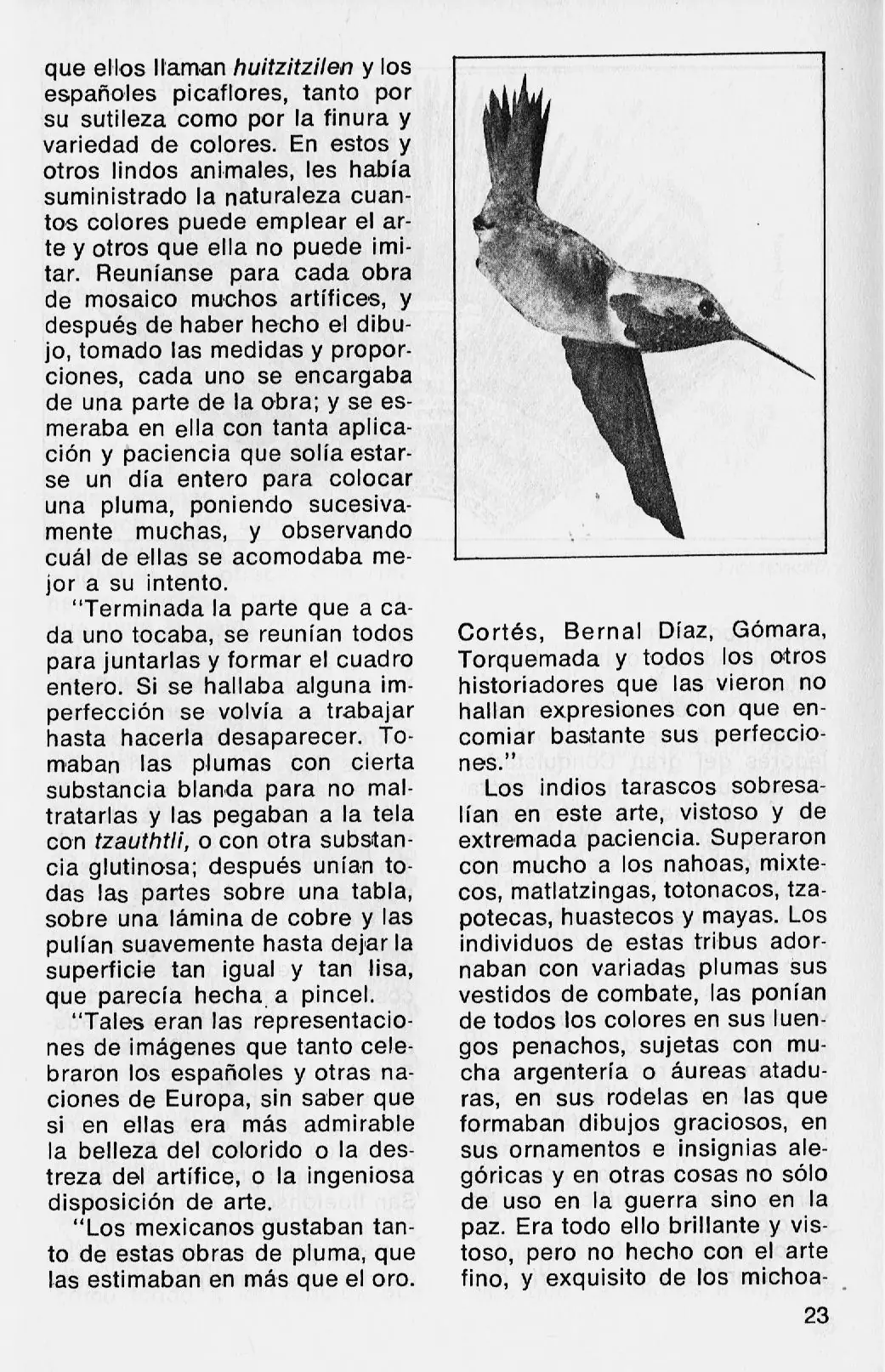 colibries