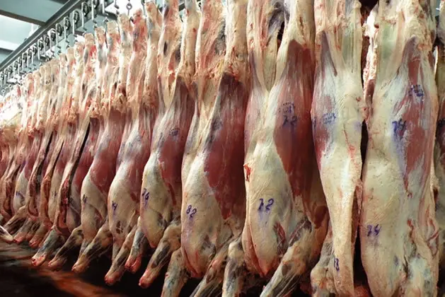 "La carne tiene la culpa de que exista el patriarcado"