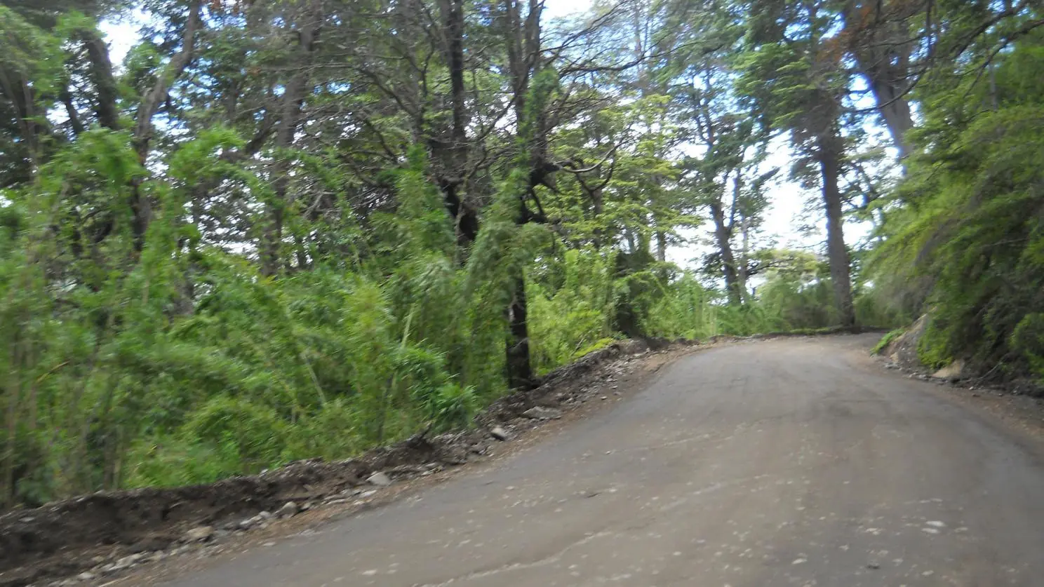 Viaje
