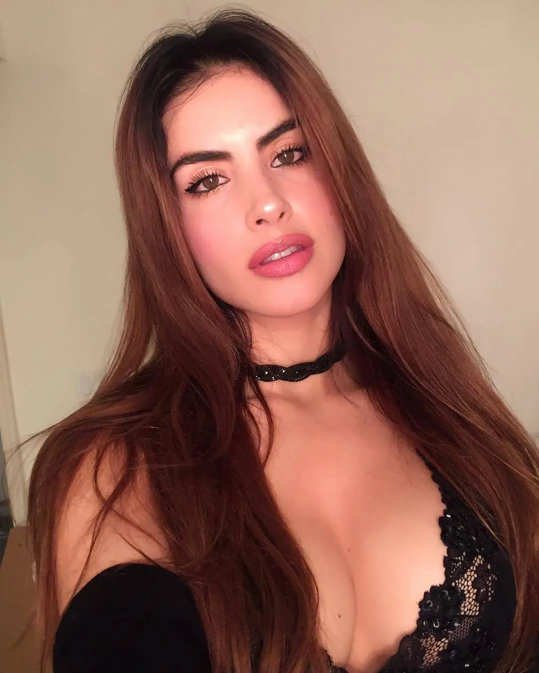 modelo modelo