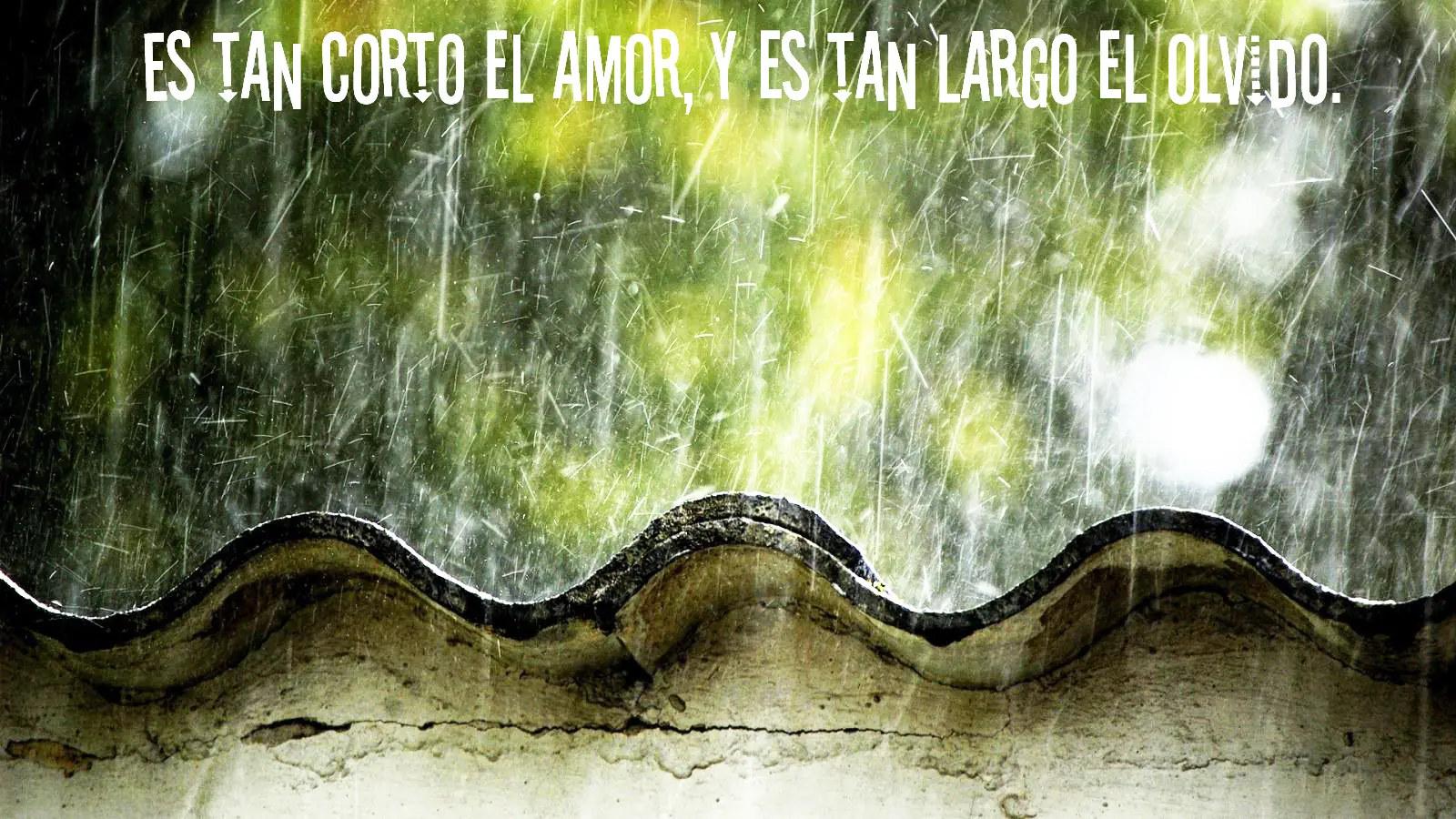 canciones canciones