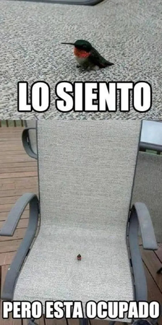 Memes graciosos para comenzar la semana!