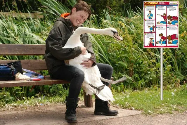 Imagenes de humor a 3mil para la noche taringuera