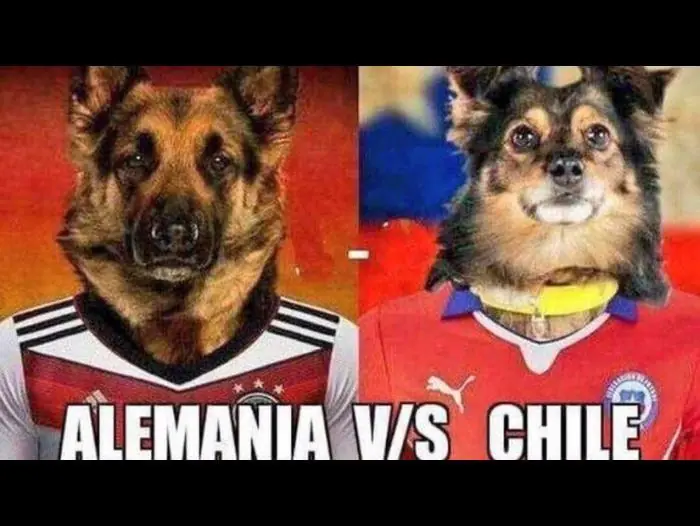 Final