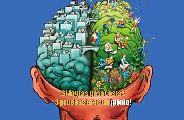 3 Pruebas para tu cerebro (si logras pasarlas eres un genio)