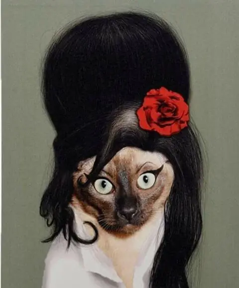 Imágenes de humor nocturno parte 246