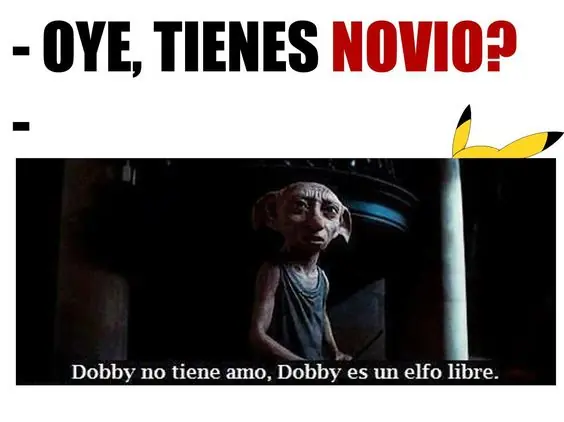 para los linces
