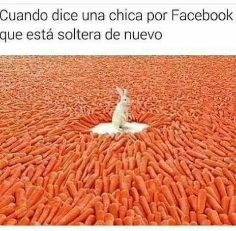 increible